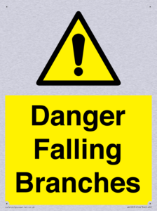 Danger Falling Branches